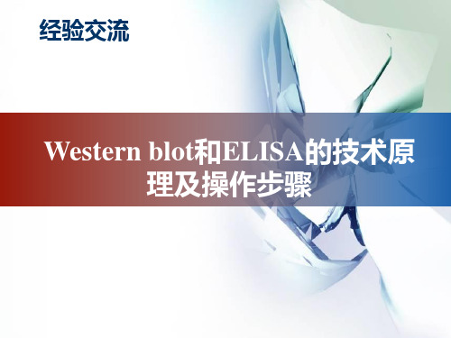 Western blot和ELISA的技术原理及操作步骤