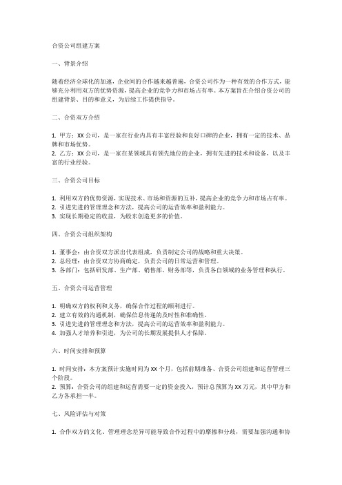 合资公司组建方案的内容