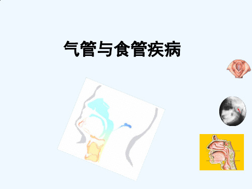 气管与食管疾病概述