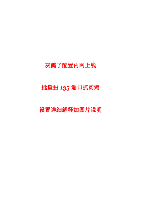 灰鸽子配置内网上线批量扫135抓鸡详解加图