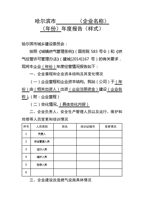 燃气企业年度经营报告模板