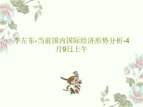 李左东-当前国内国际经济形势分析-4月9日上午共56页PPT