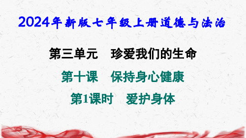 2024年新版七年级上册道德与法治第十课 保持身心健康 第1课时 爱护身体 导学课件