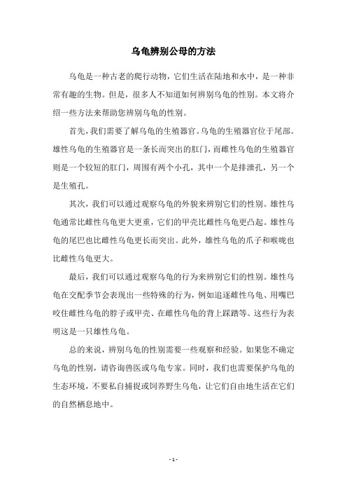 乌龟辨别公母的方法