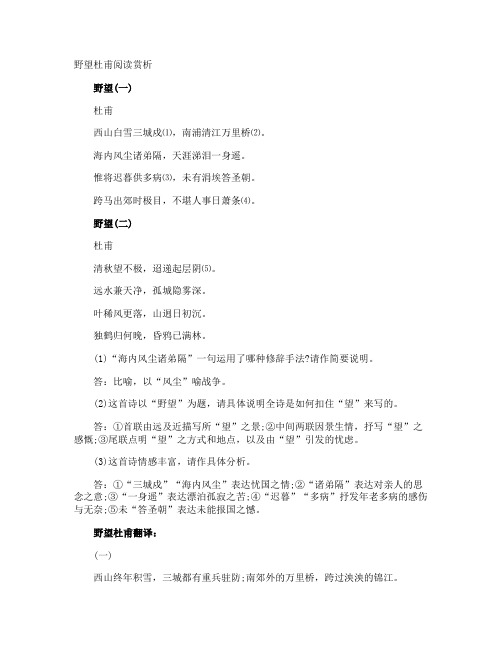 野望杜甫阅读赏析