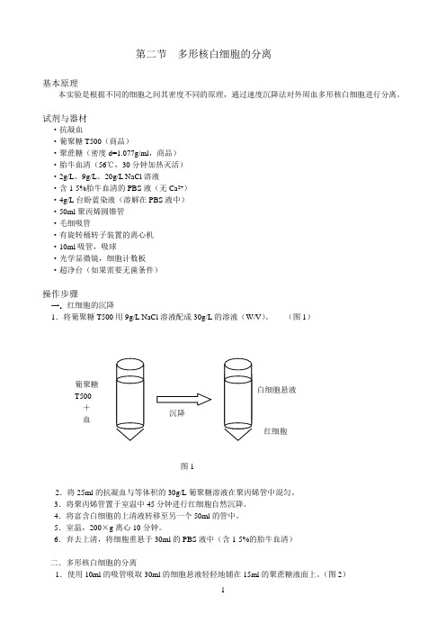 白细胞分离技术