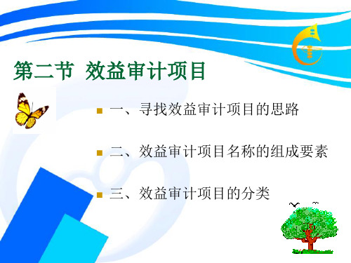 经济效益审计第一部分第二节审计项目