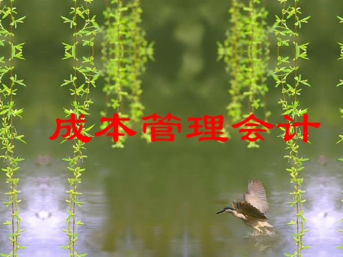2.成本、收入与利润知识讲解