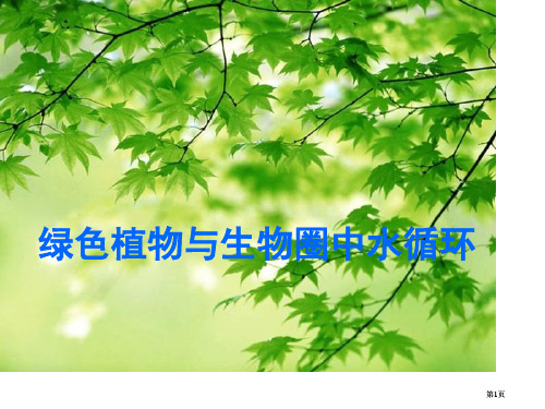 绿色植物与生物圈的水循环专题知识市公开课金奖市赛课一等奖课件