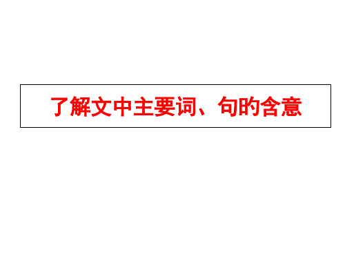 理解文中重要词句的含义