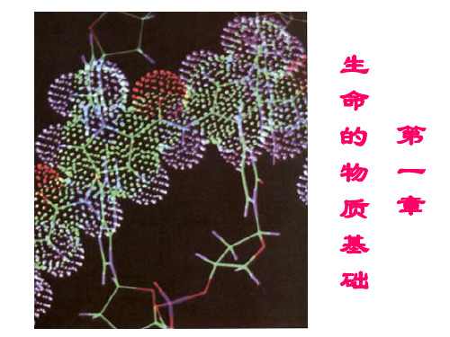 组成生物体的化学元素