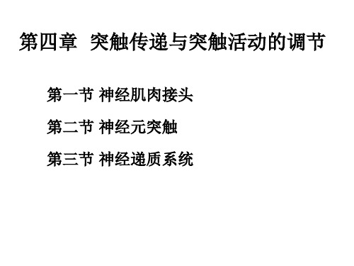 《动物生理学》教学课件：04 突触传递与突触活动的调节