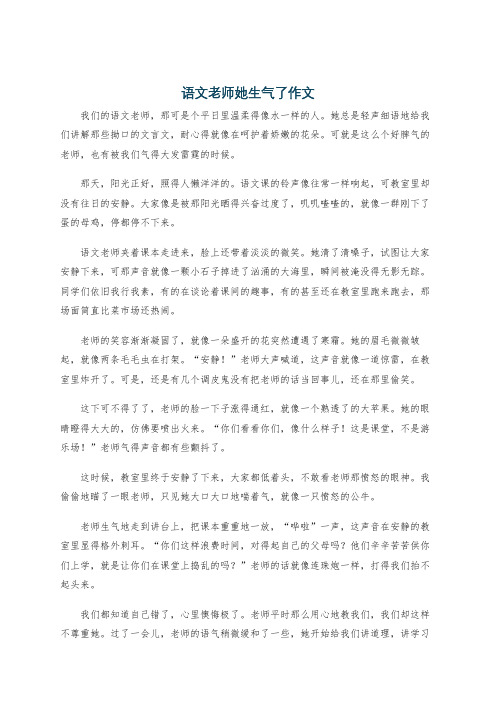 语文老师她生气了作文