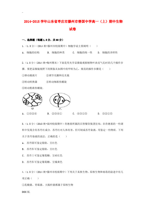 高一生物上学期期中试卷(含解析)-人教版高一全册生物试题