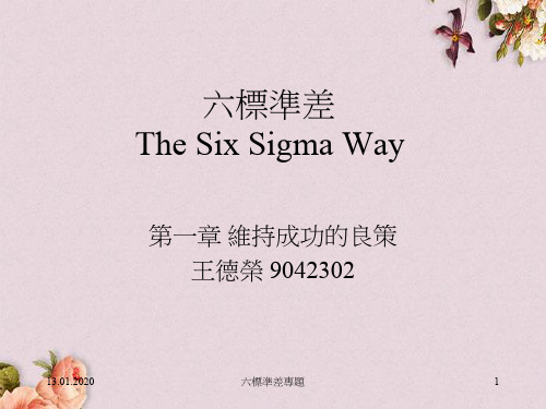 六标准差The Six Sigma Way(PPT 294页)