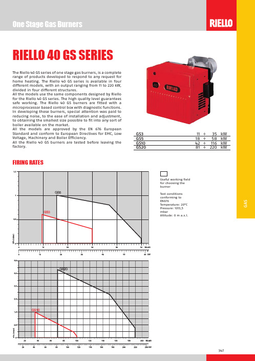 Riello 40 GS系列燃气燃烧器说明书