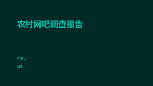 农村网吧调查报告