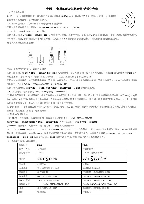 高考化学复习专题：钠镁及其化合物