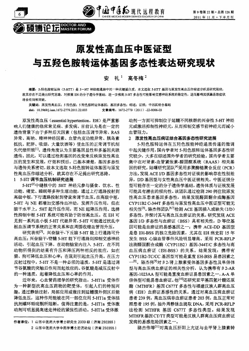 原发性高血压中医证型与五羟色胺转运体基因多态性表达研究现状