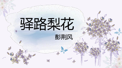 《驿路梨花》ppt课件