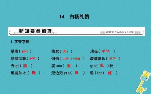 八年级语文上册第四单元14白杨礼赞课件新人教版