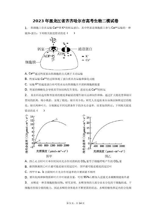 2023年黑龙江省齐齐哈尔市高考生物二模试卷+答案解析(附后)