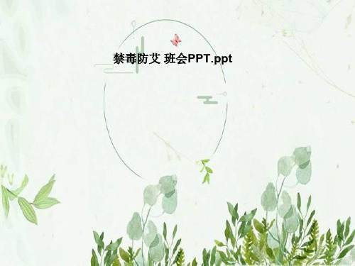 禁毒防艾 班会PPT