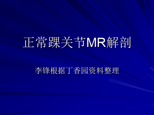 正常踝关节MR解剖