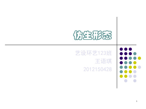 仿生设计赏析ppt课件