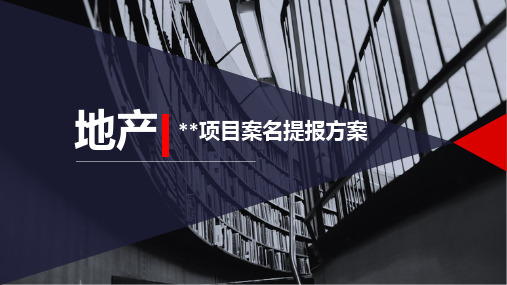 地产项目形象定位及案名提报方案