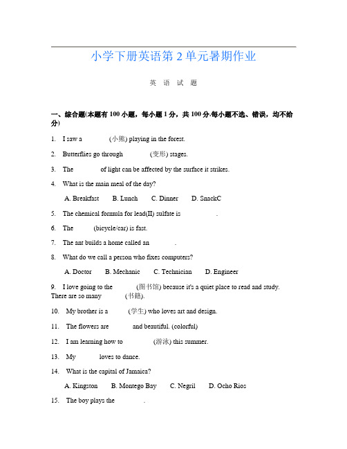 小学下册B卷英语第2单元暑期作业