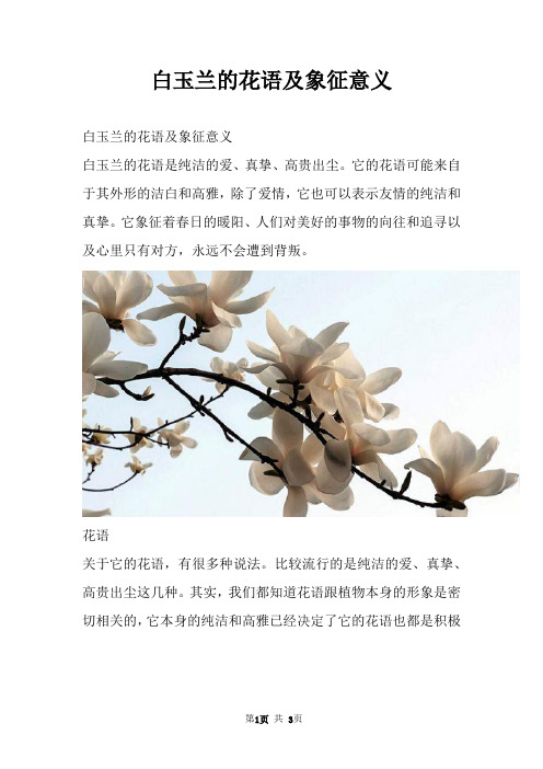 白玉兰的花语及象征意义