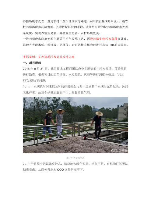 养猪场废水处理改造方案