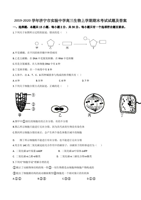 2019-2020学年济宁市实验中学高三生物上学期期末考试试题及答案