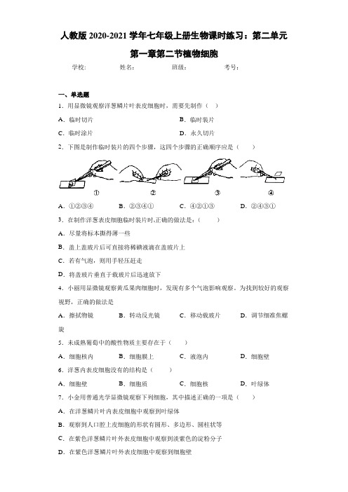 人教版2020-2021学年七年级上册生物课时练习：第二单元第一章第二节植物细胞