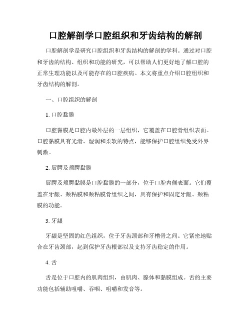 口腔解剖学口腔组织和牙齿结构的解剖