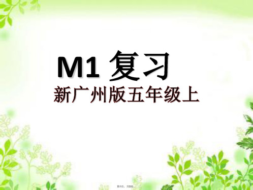 2014新广州版五年级英语上M1复习