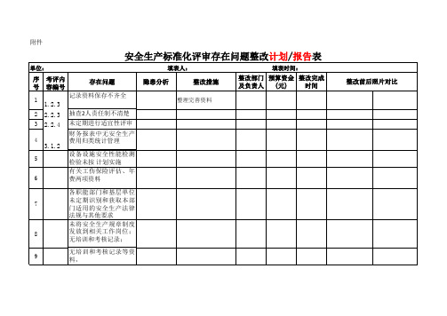 整改计划(报告)表