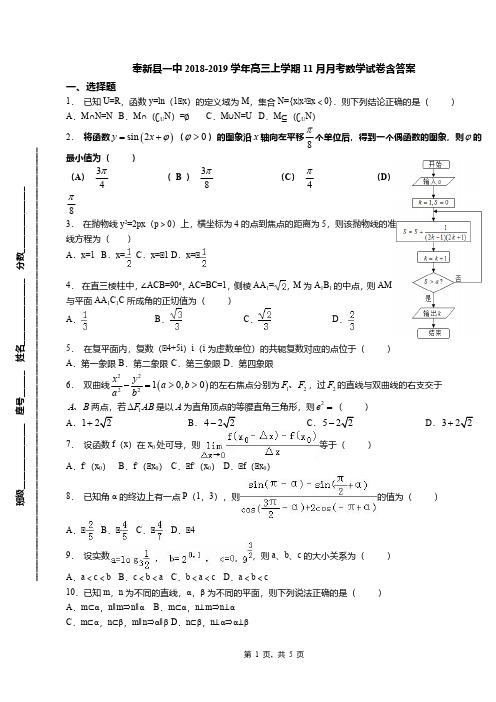 奉新县一中2018-2019学年高三上学期11月月考数学试卷含答案