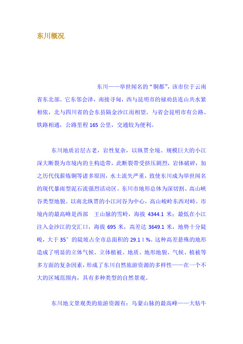 东川概况
