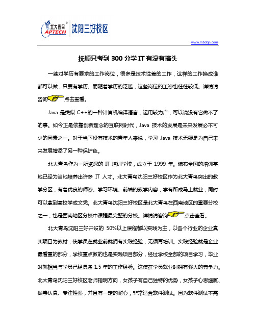 抚顺只考到300分学IT有没有搞头