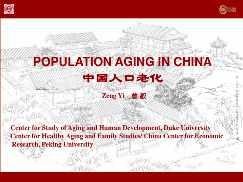 aging populationPPT课件