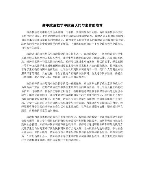 高中政治教学中政治认同与素养的培养