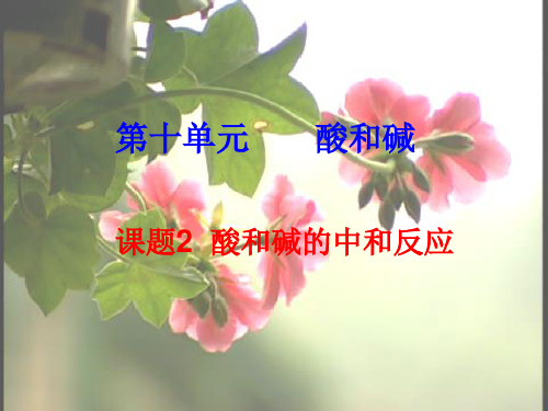 人教版九年级化学课件:10.2酸和碱的中和反应(共25张PPT)