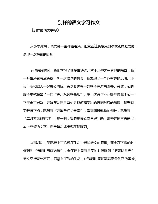 别样的语文学习作文