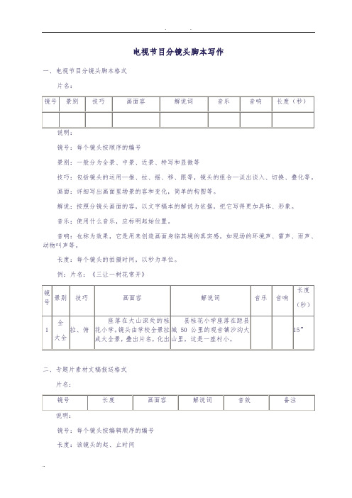 电视节目分镜头脚本写作