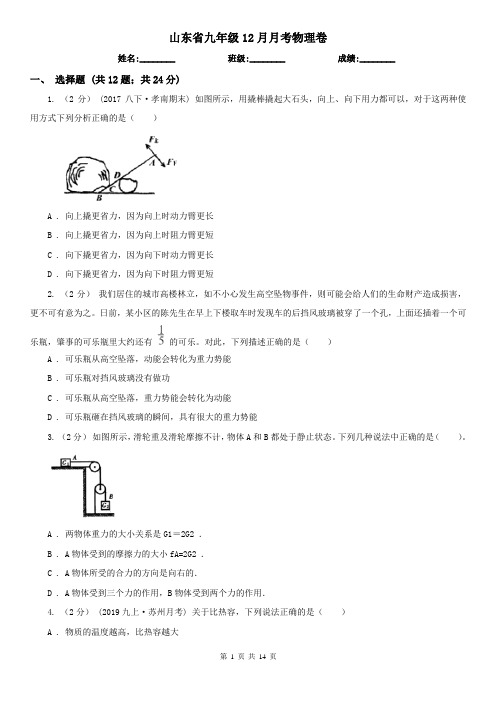 山东省九年级12月月考物理卷