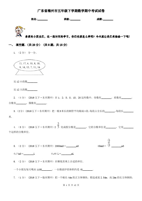 广东省梅州市五年级下学期数学期中考试试卷