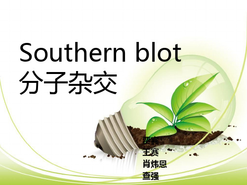 southern印记杂交