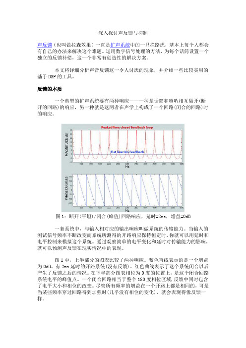 深入探讨声反馈与抑制